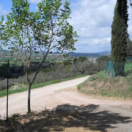 La Mia Montagna Deruta